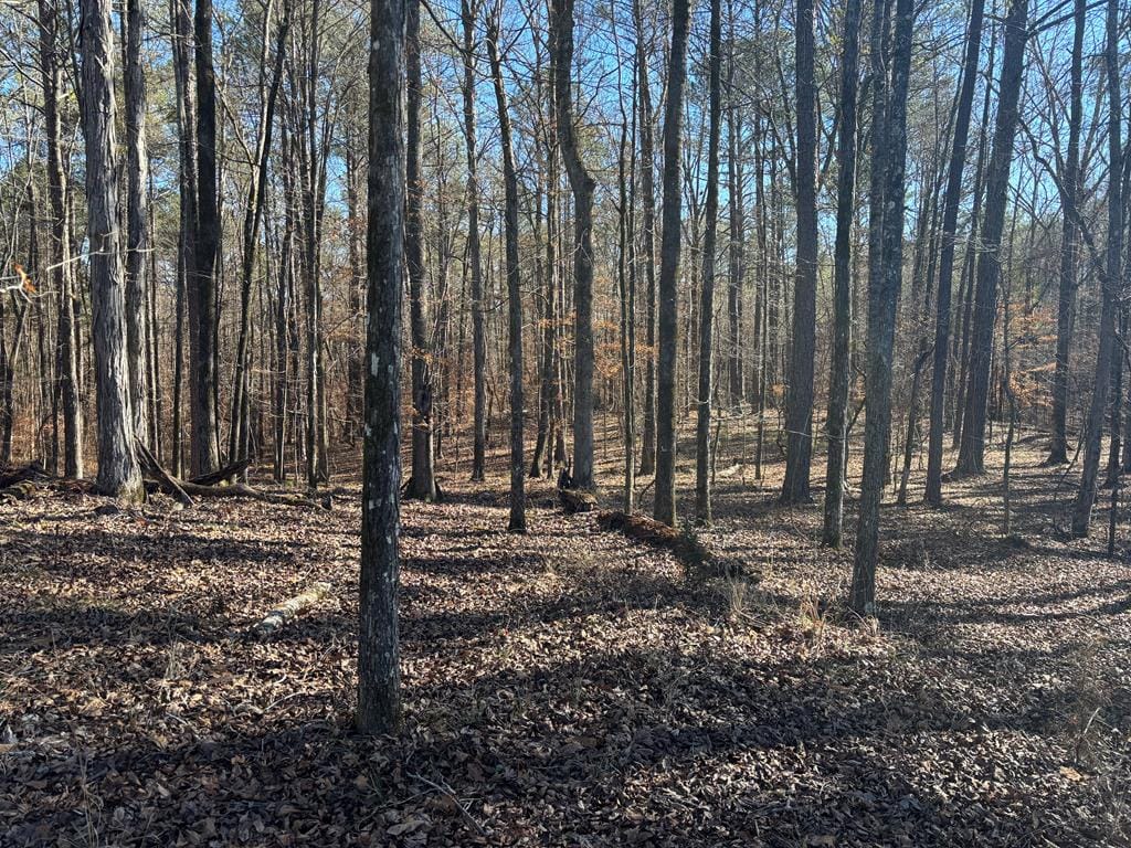 00 Carl Mathis Road, Talbotton, GA, 31827