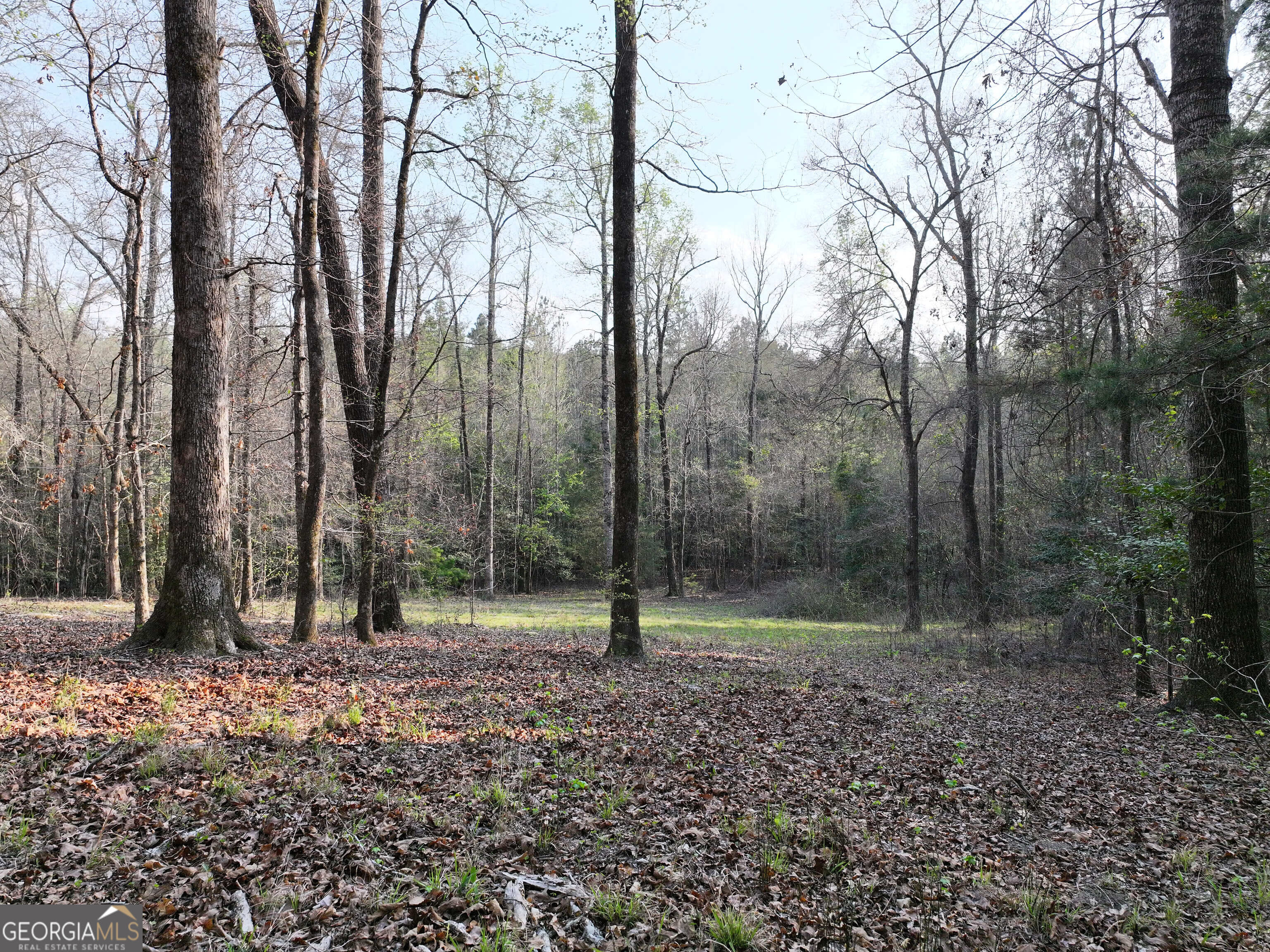 195 County Line, Lumpkin, GA, 31815