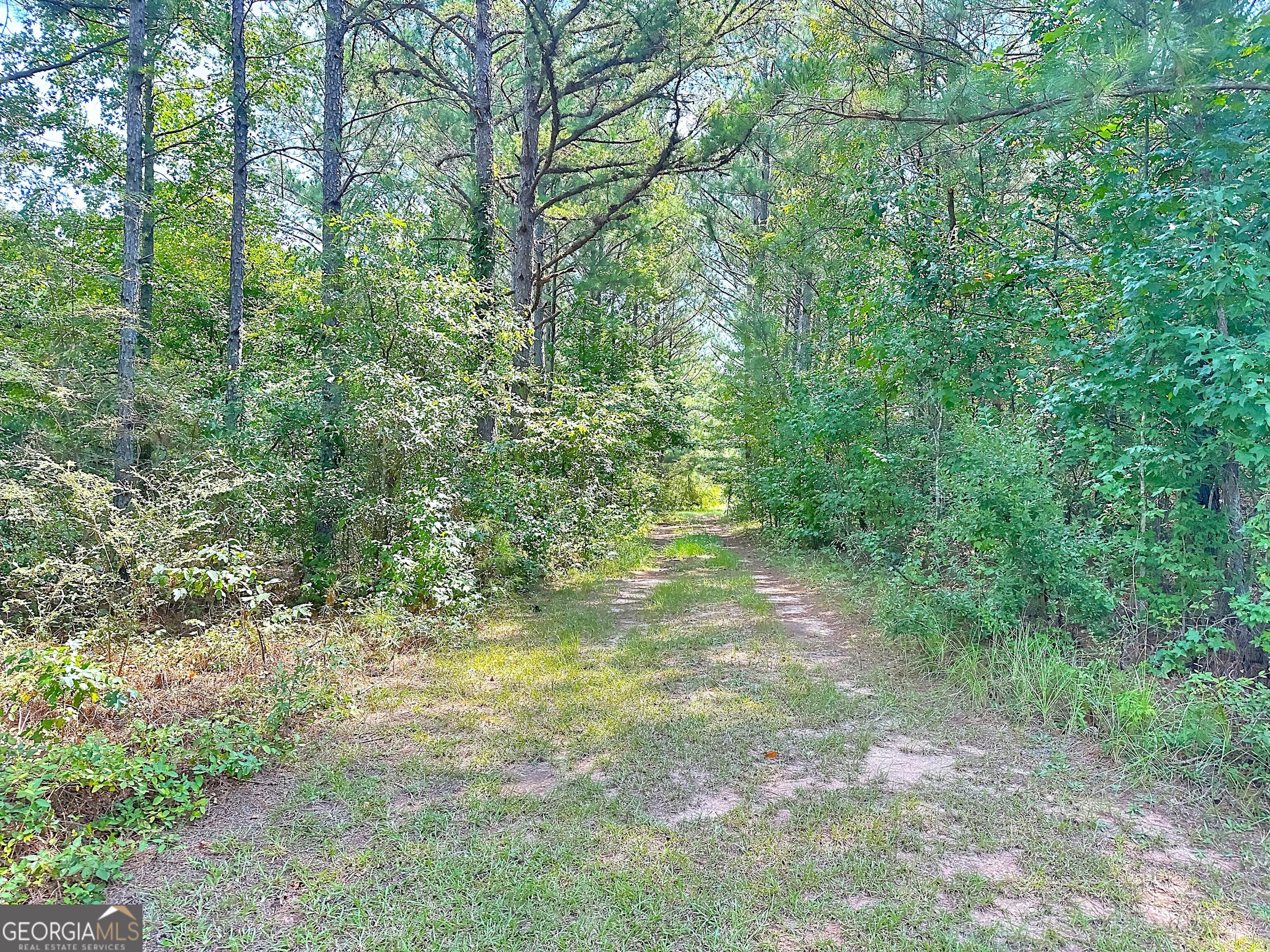 493 Jarrell Hogg Rd, West Point, GA 31833