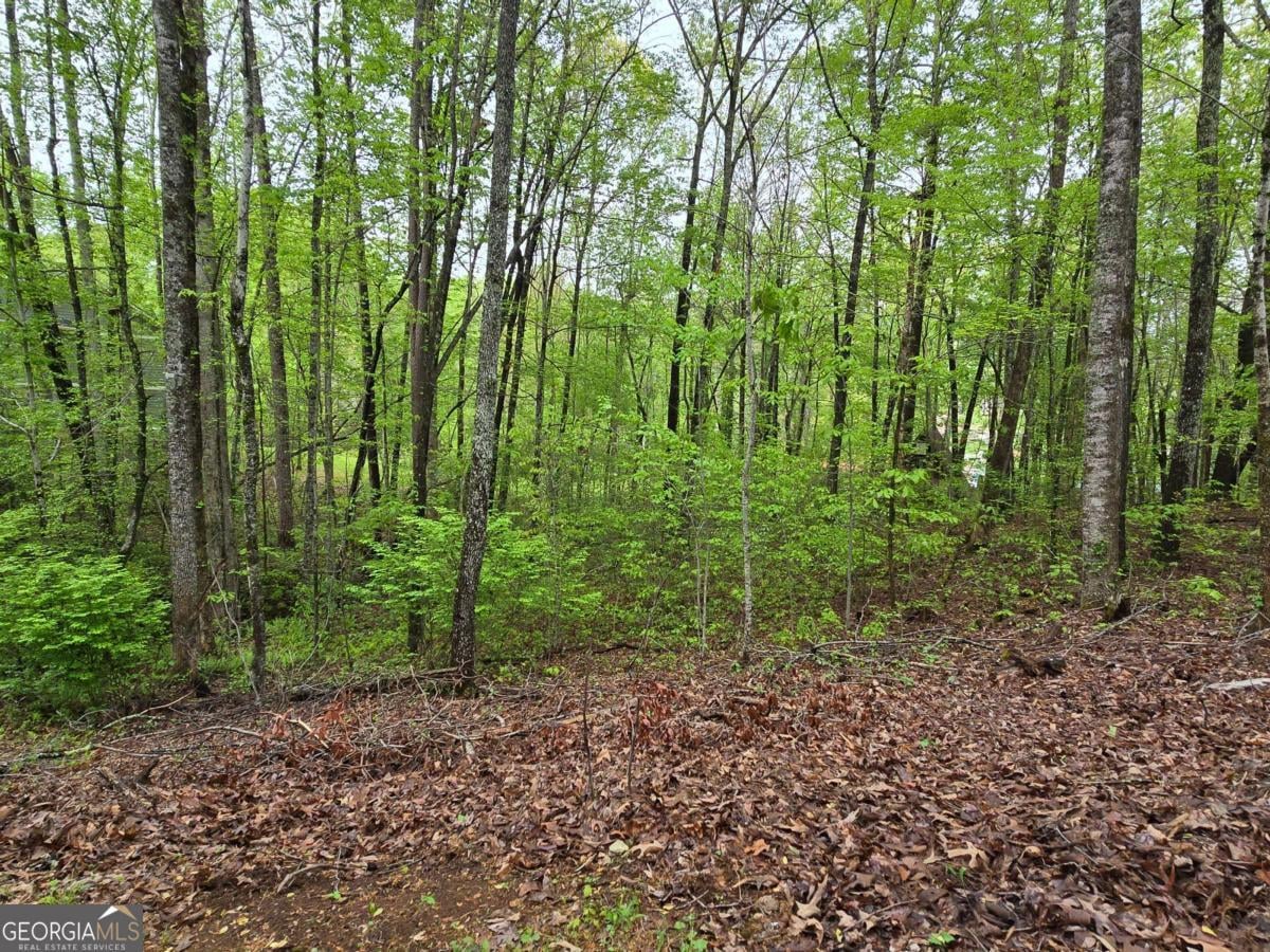 0 Chatuge Lane #Lot 69, Hayesville, NC, 28904