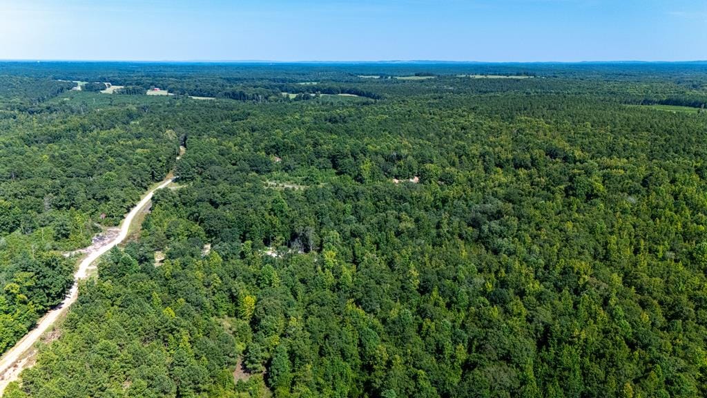 0 Branch Hebron Road, Greenville, GA, 30022