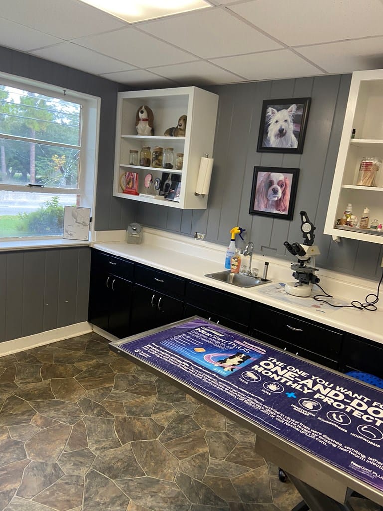 810 N Slappey Blvd, Albany, GA 31701