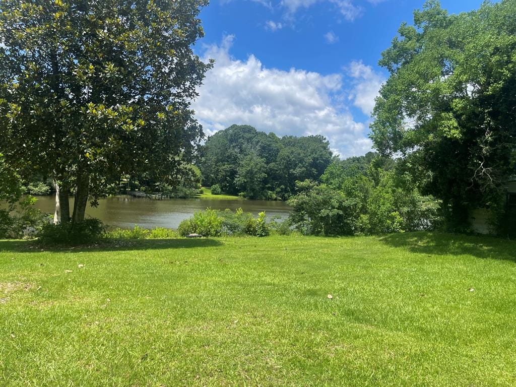 49 Lake Ct, Ellerslie, GA 31807, USA, Backyard