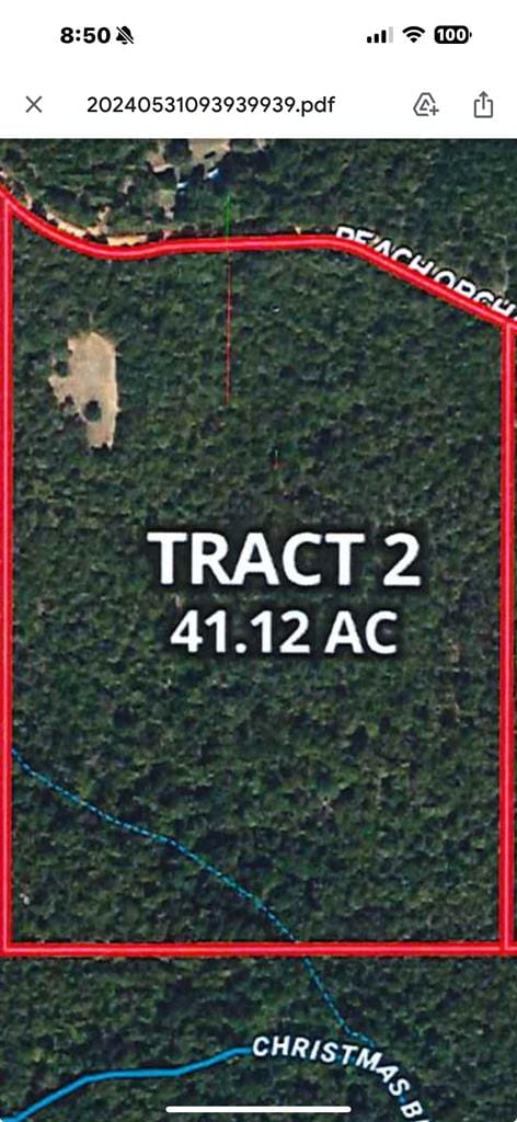 0 Peach Orchard Road, Richland, GA, 31825