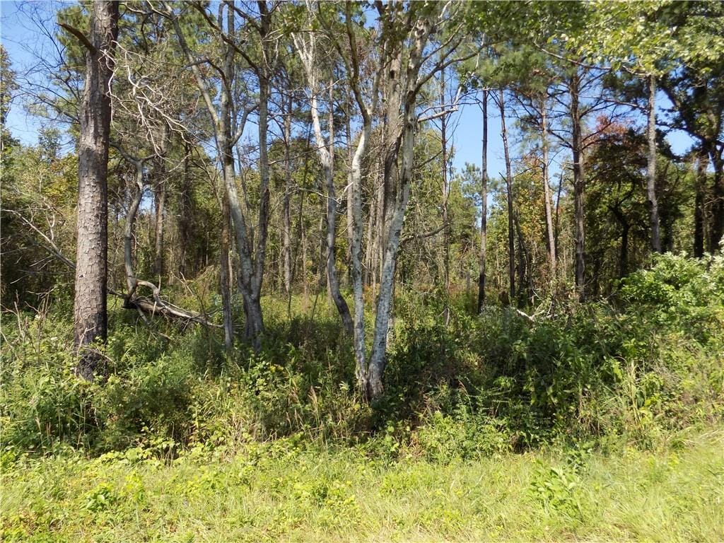Lot 5 Macon County Road 24, Auburn, AL, 36830