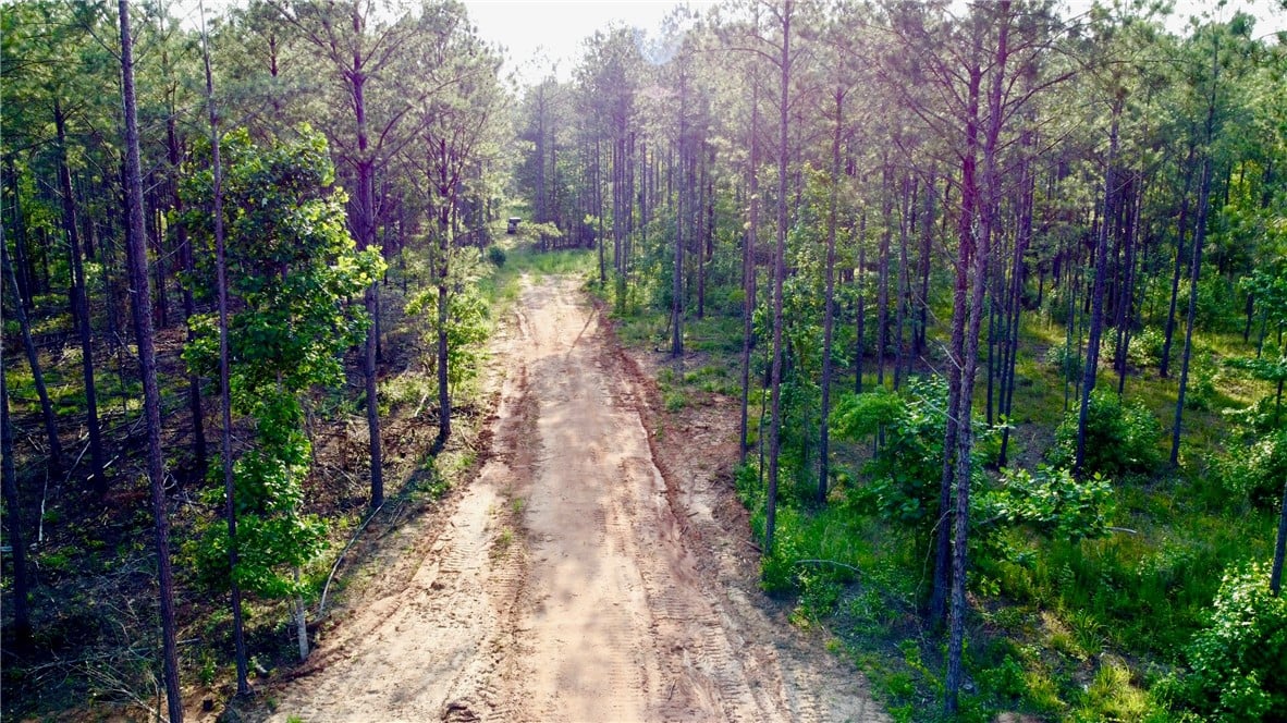 0 LEE ROAD 76, AUBURN, AL, 36879