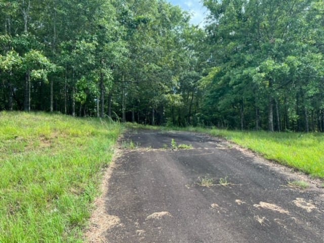 0 Ga Highway 0018, Pine Mountain, GA, 31822 — Photo 2