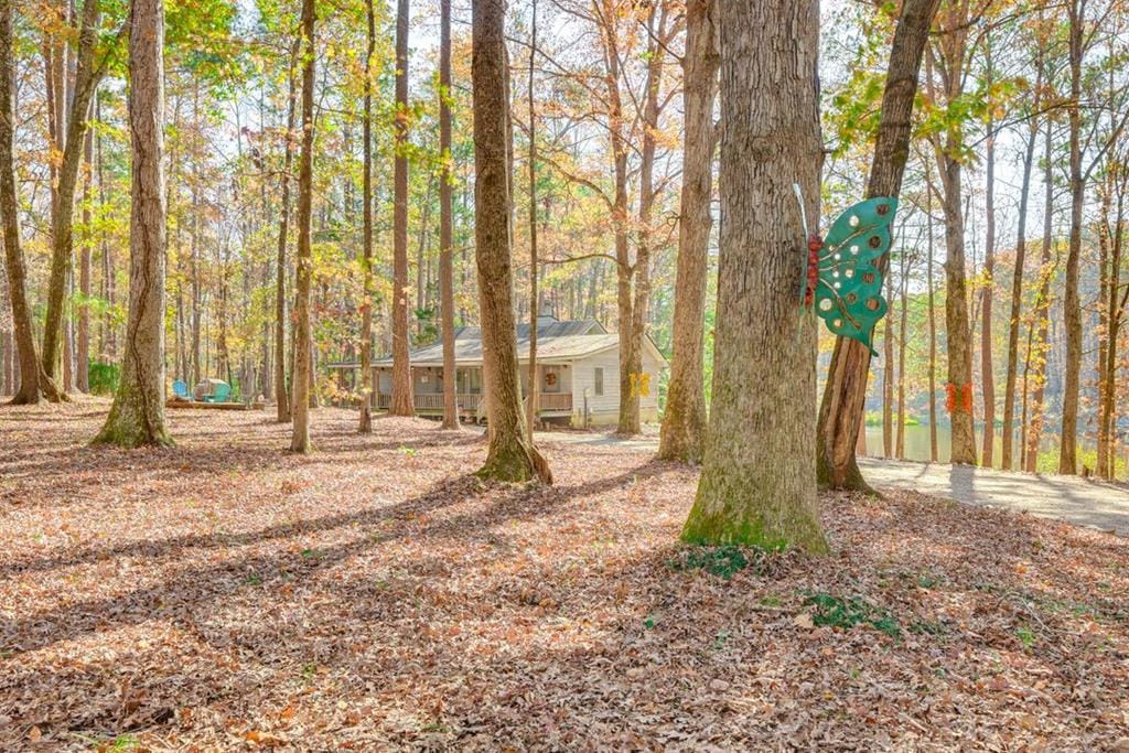 145 Stillwater Ln, Hamilton, GA 31811