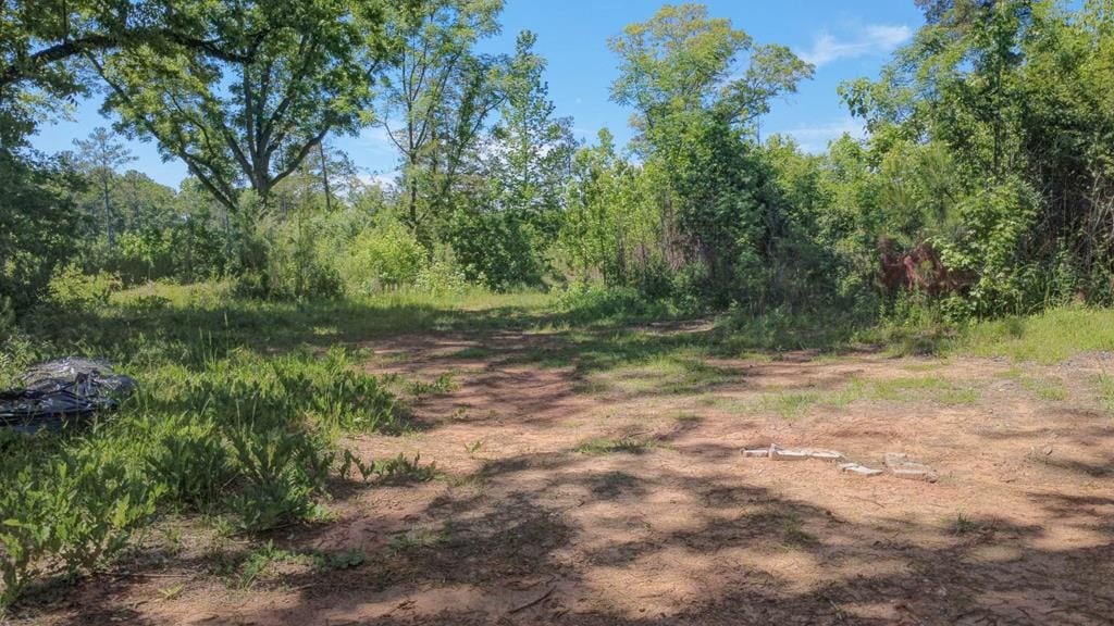 13145 Ga Highway 0315, Cataula, GA, 31804