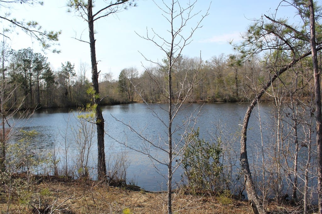 999 Gun Club Road, Box Springs, GA, 31801 — Photo 3