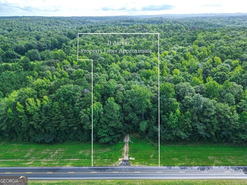 0 U.S. 431, Roanoke, AL, 36274