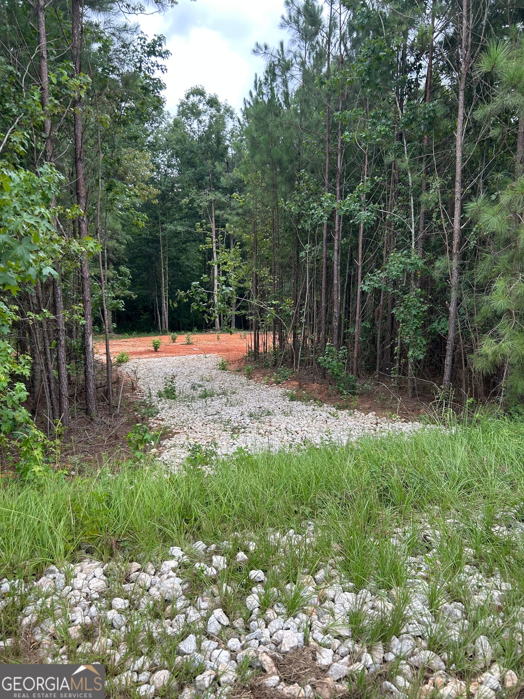 CR 79 Clark St, Roanoke, AL, 36274