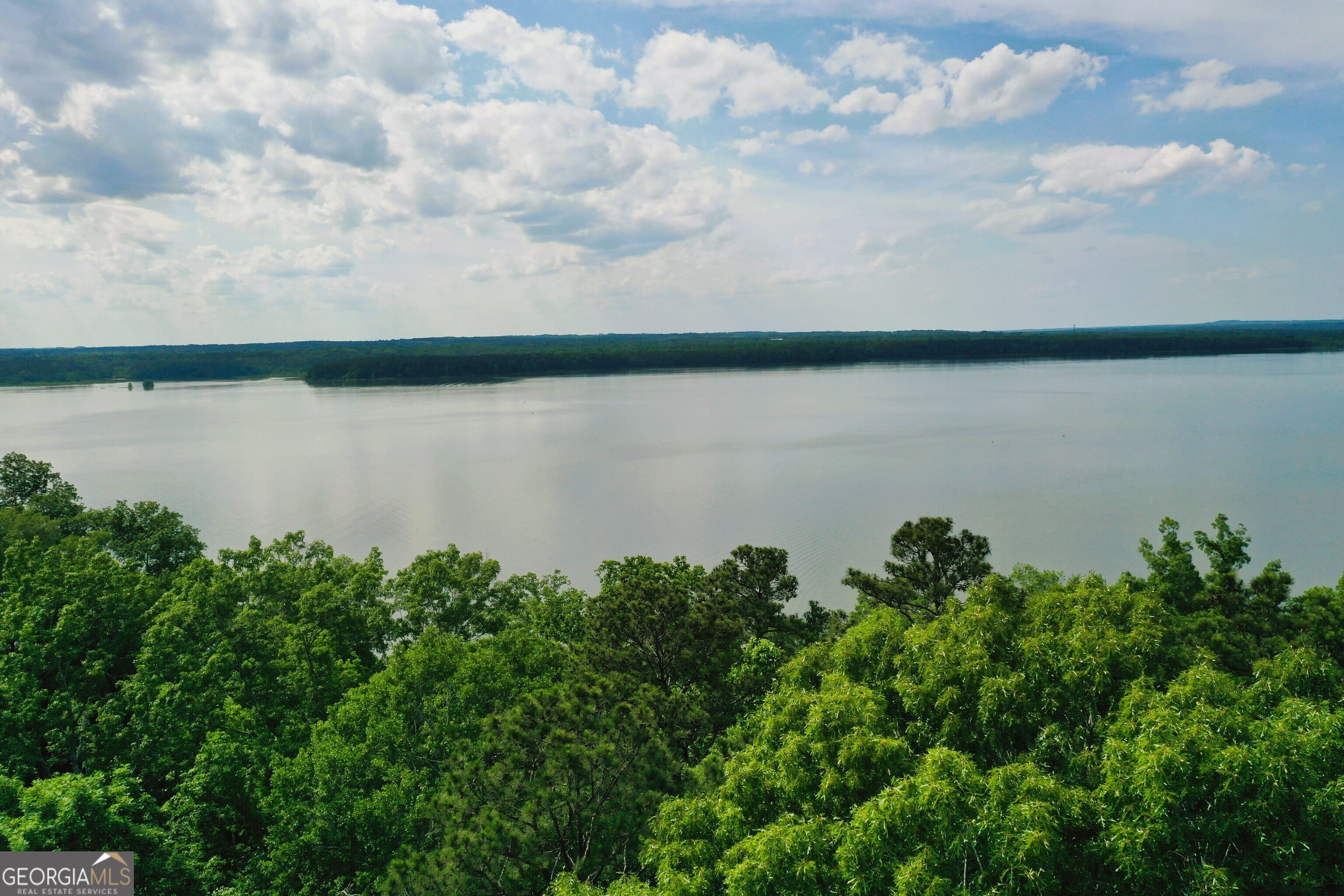 0 Watson Rd, Georgetown, GA 39854