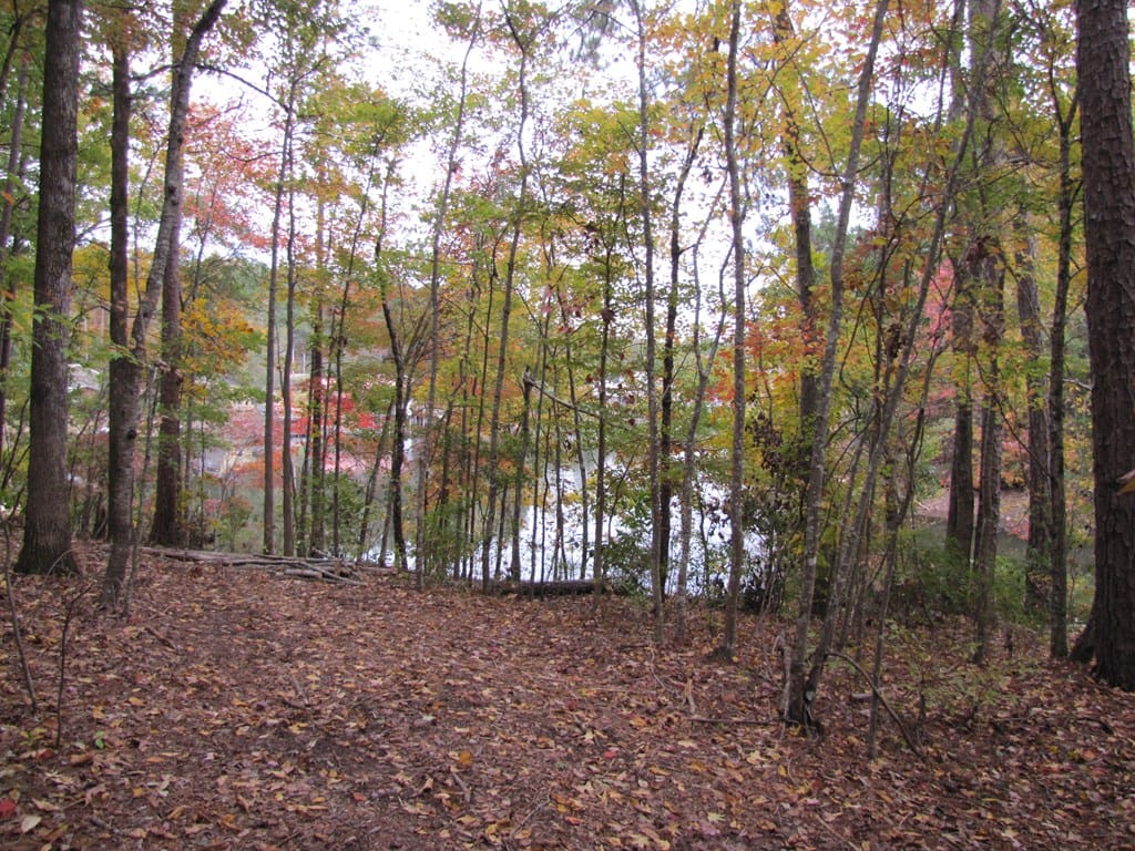 0 Sturges Road, Fortson, GA, 31808 — Photo 3