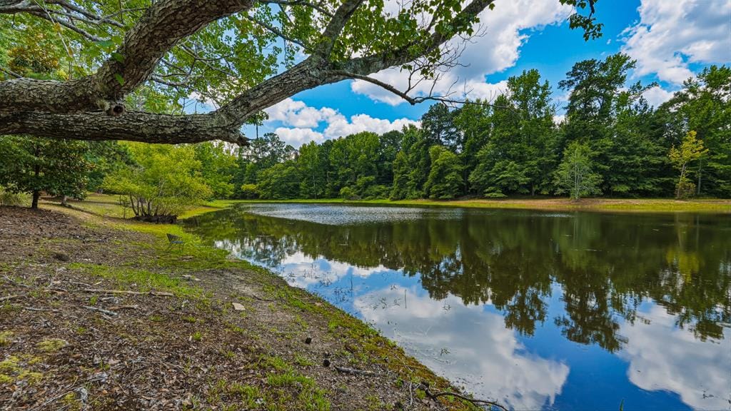 1202 Eddie Martin Rd, Buena Vista, GA 31803, spring fed pond sits in front of log home