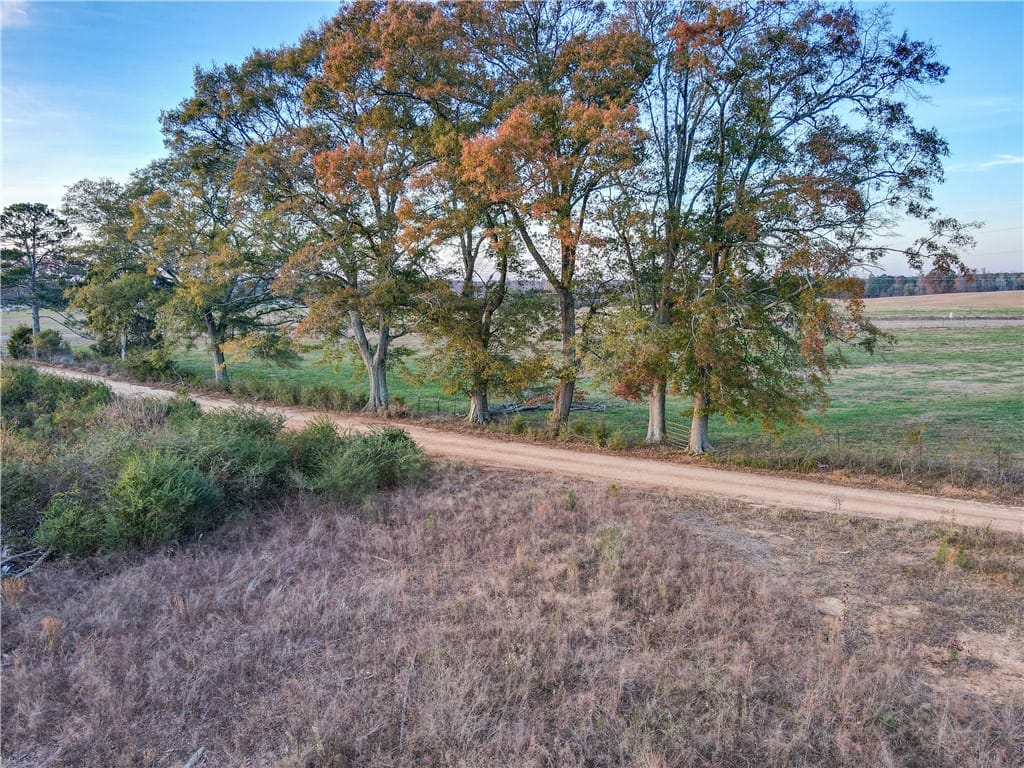 0 COUNTY ROAD 53, Lafayette, AL, 36862