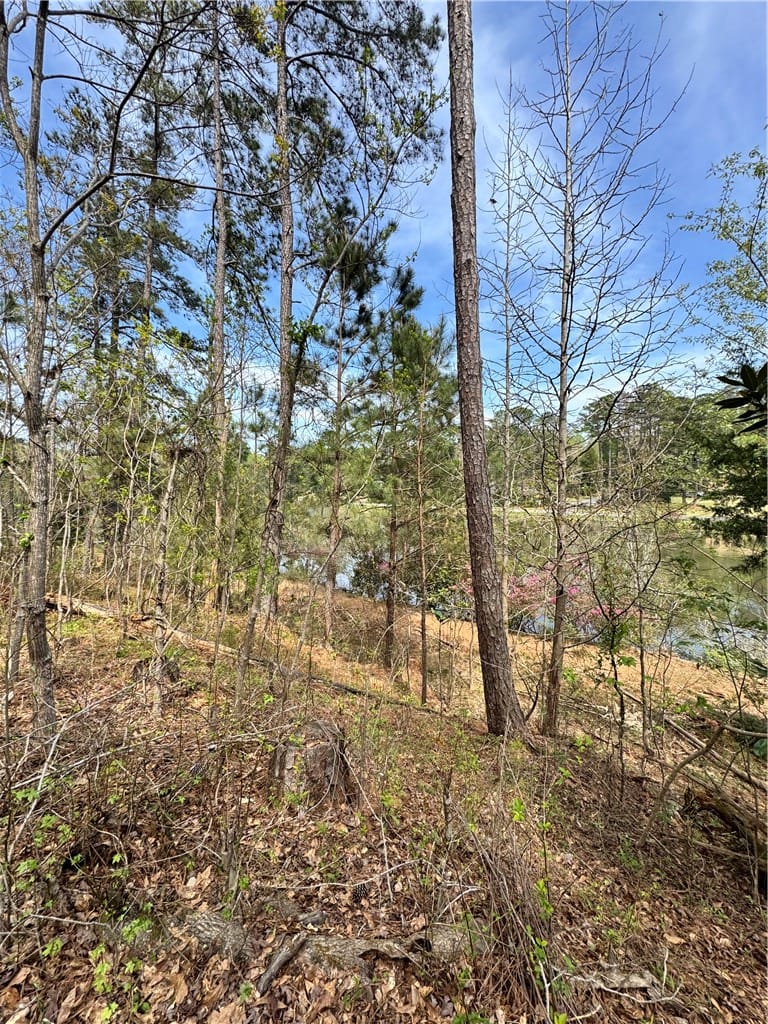 0 Laurel Street, Opelika, AL, 36801 — Photo 2