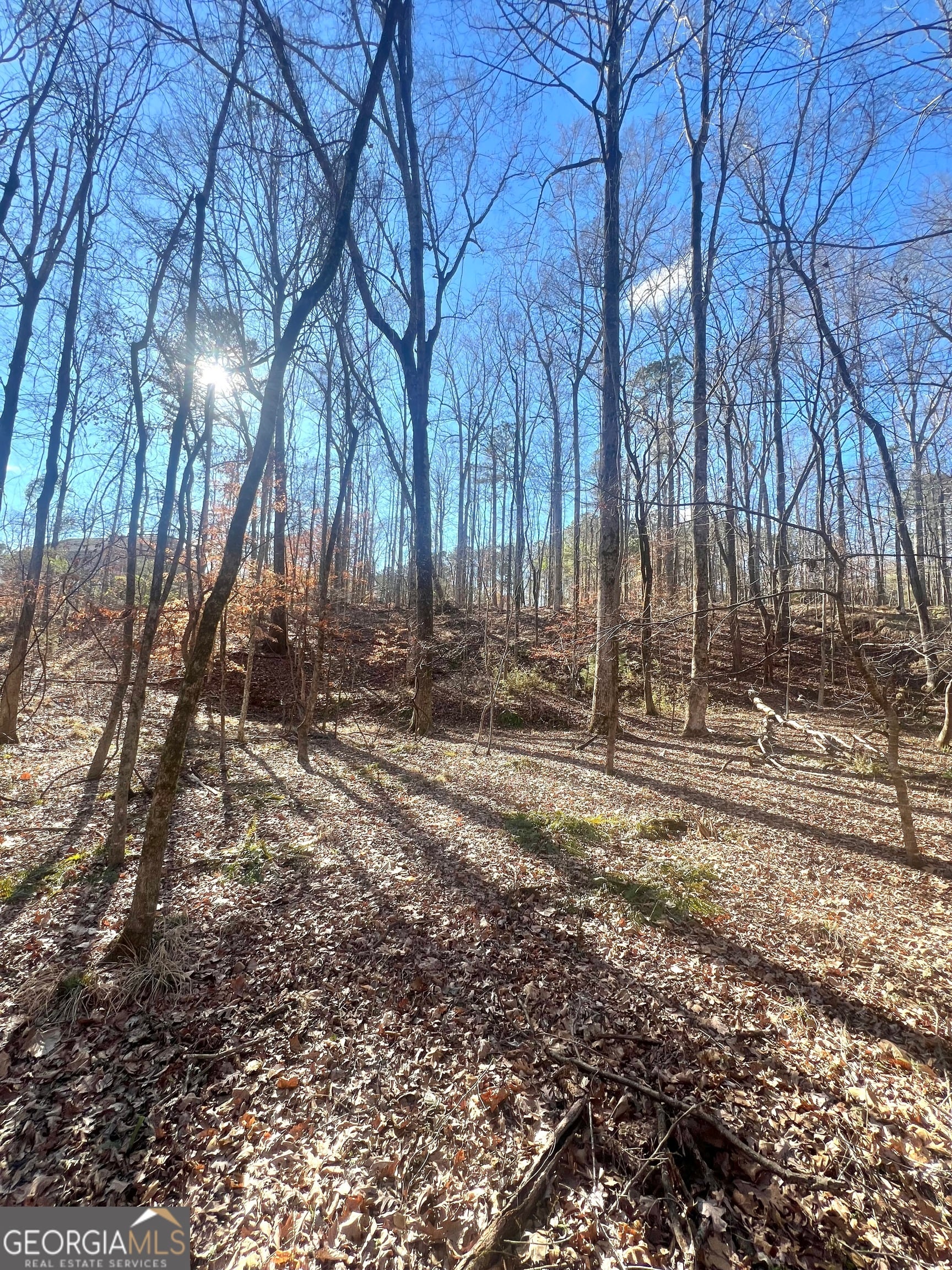 2046 CR, Smiths Station, AL, 36877