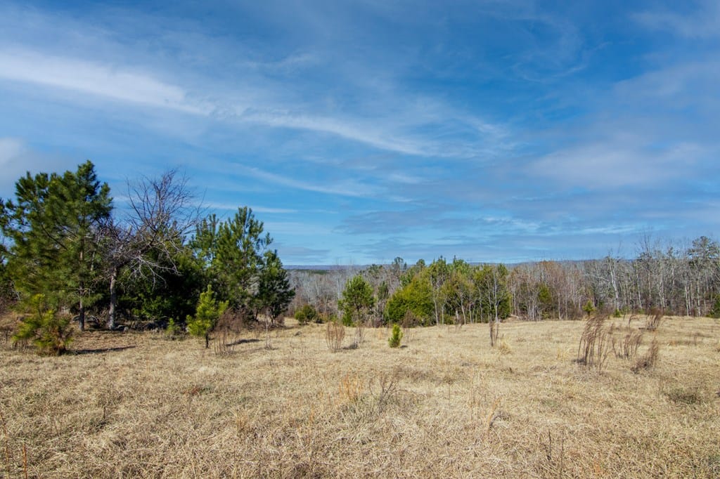 0 St. Paul Church Road, Shiloh, GA, 31826