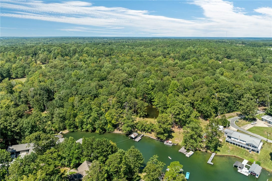 2 Lakeview Dr, Eclectic, AL 36024, An aerial perspective reveals a serene lake commun