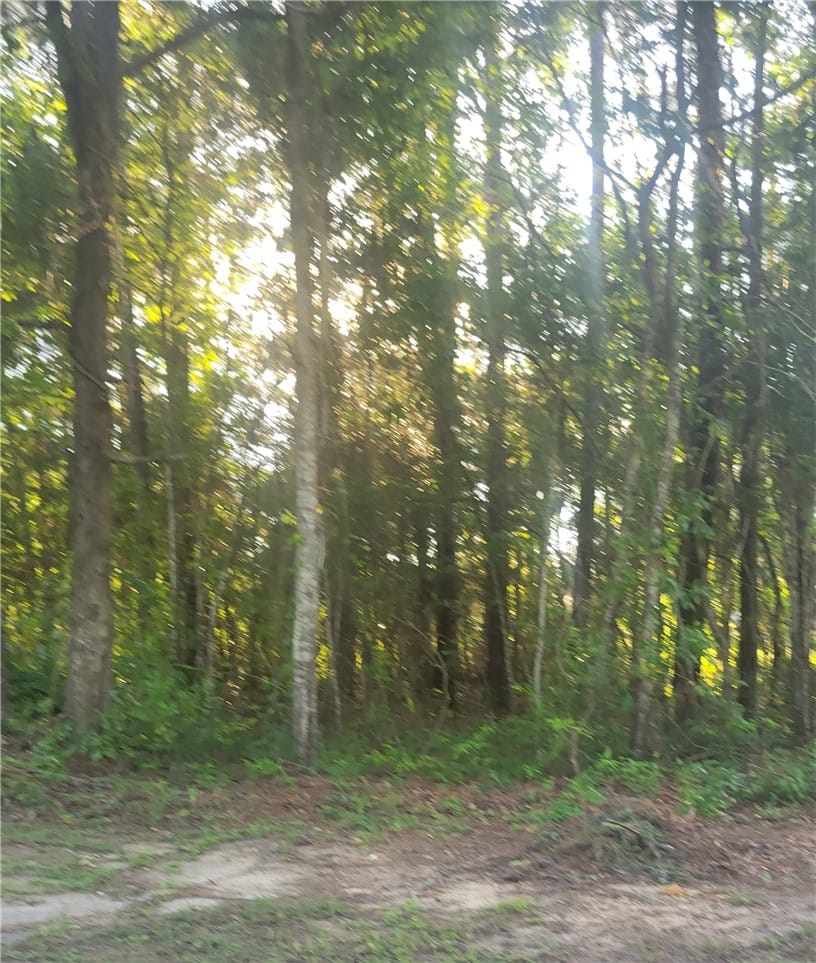 00 WEBB, Tuskegee, AL, 36083