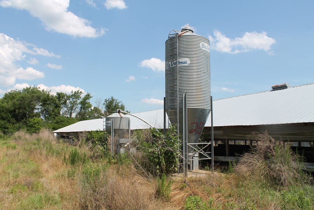 502 Arch Helms Road, Americus, GA, 31719 — Photo 2