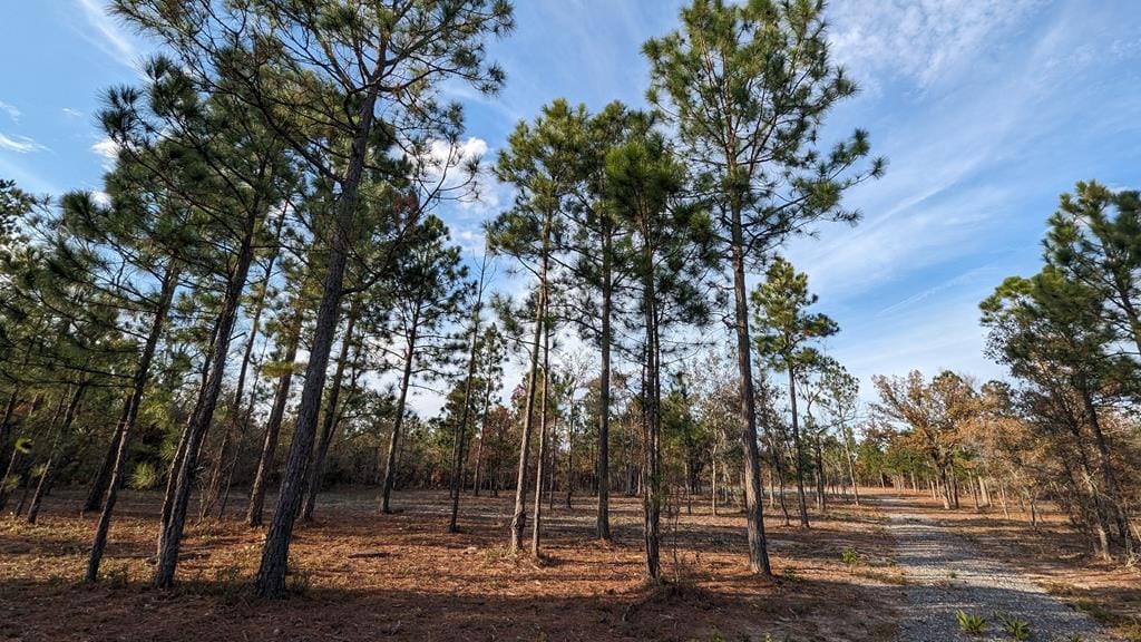 0 Moore's Chapel Road, Mauk, GA, 31058