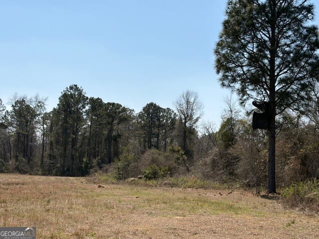 461 Henry Currington Road, Mauk, GA, 31058