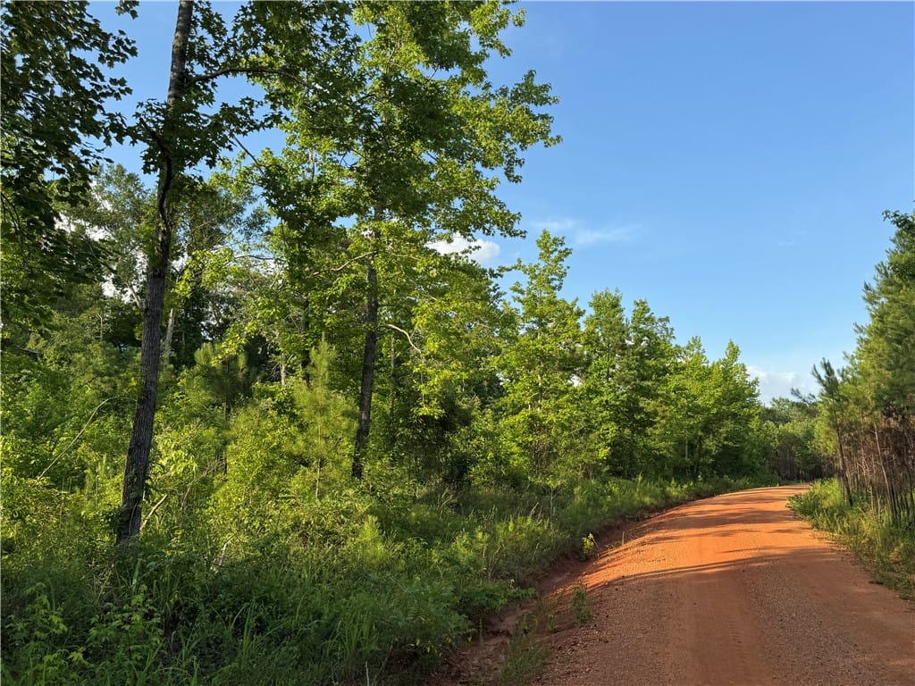 00 TALLAPOOSA, Camp Hill, AL, 36850
