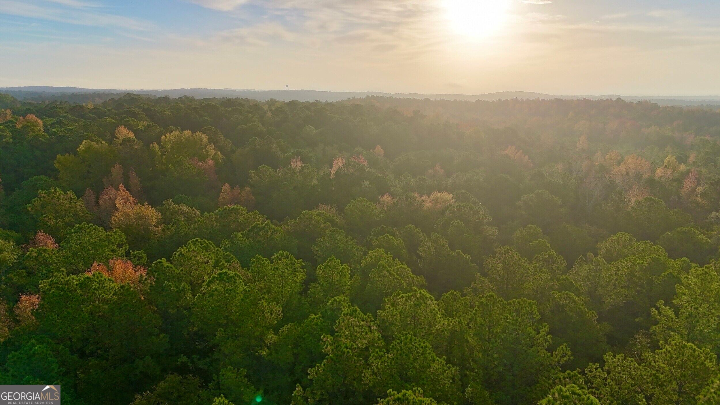 TRACT 2 Dennis Creek, Talbotton, GA, 31827