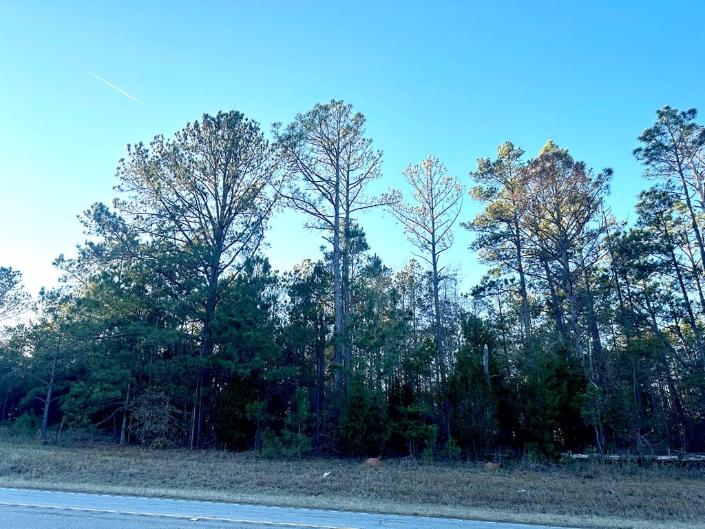 1051 Highway 0039, Georgetown, GA, 39854 — Photo 2