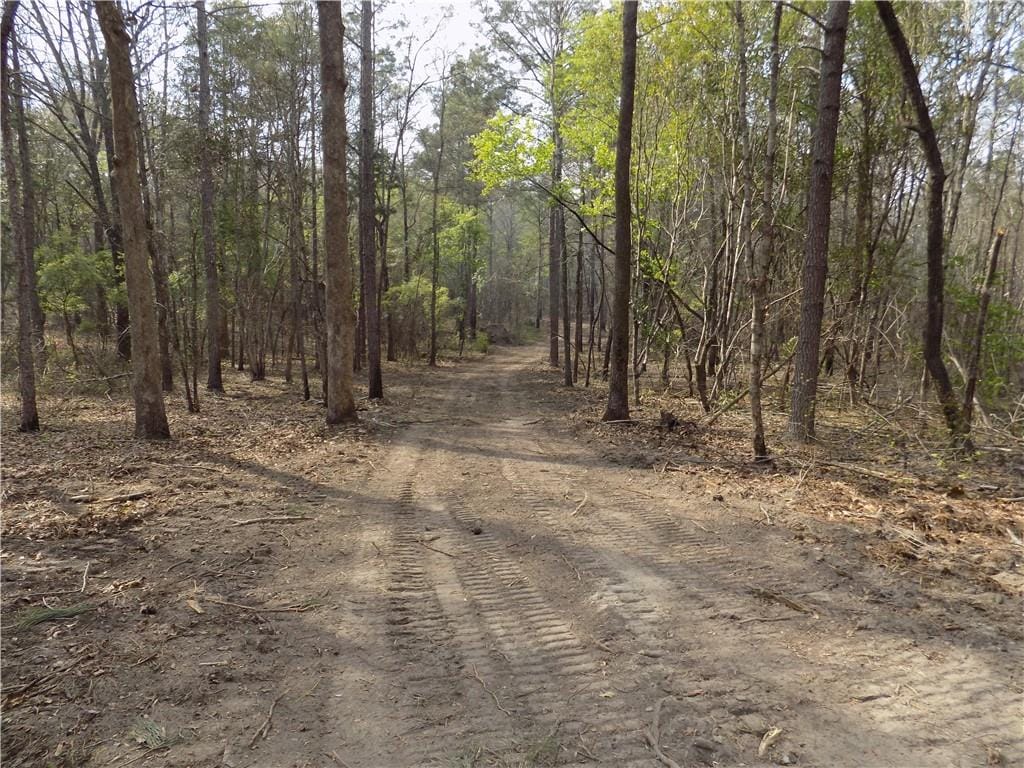 Lot 4 Macon County Road 24, Auburn, AL, 36830 — Photo 3