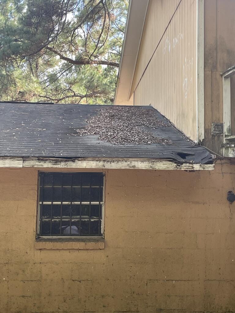 613 Cochran Ave, Albany, GA 31701