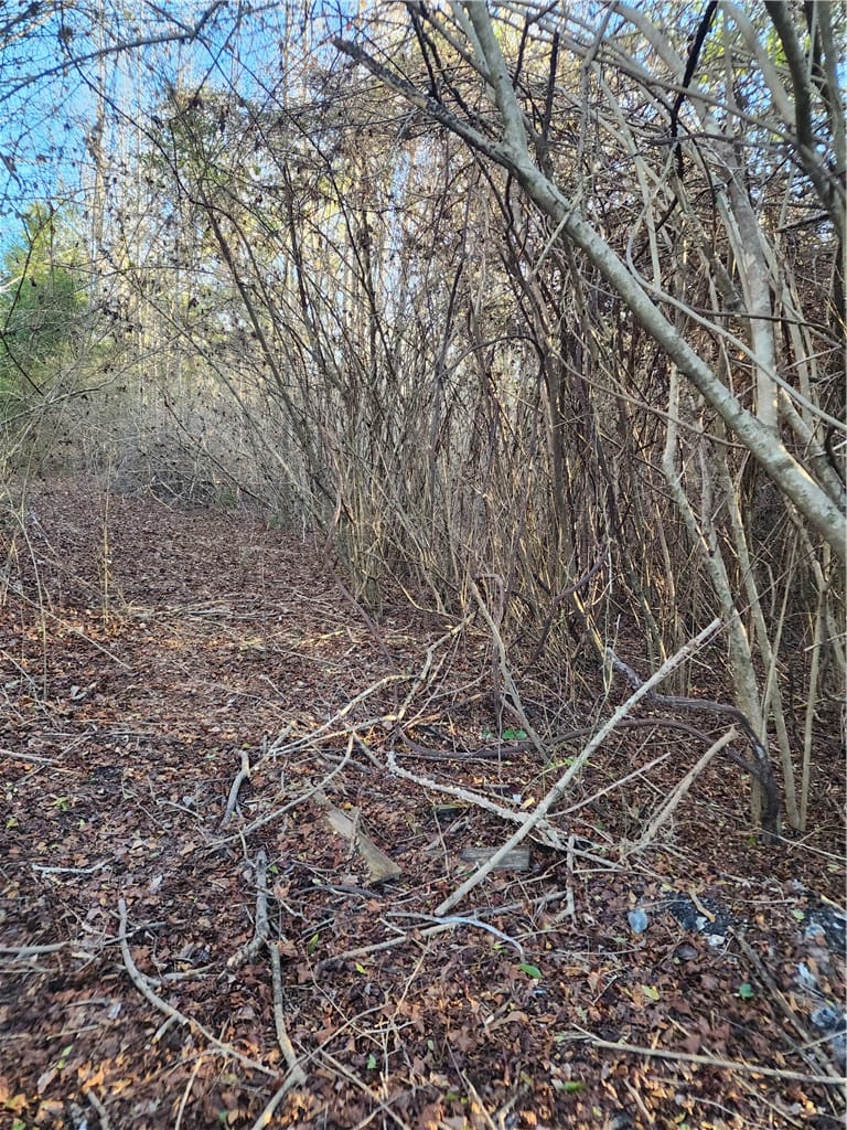 1598 Lee Road 39, Opelika, AL, 36804 — Photo 3