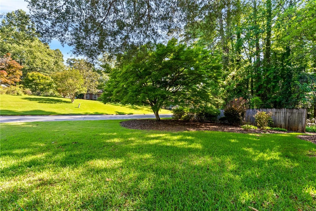 906 Janet Dr, Auburn, AL 36830, Japanese Maple in the front yard