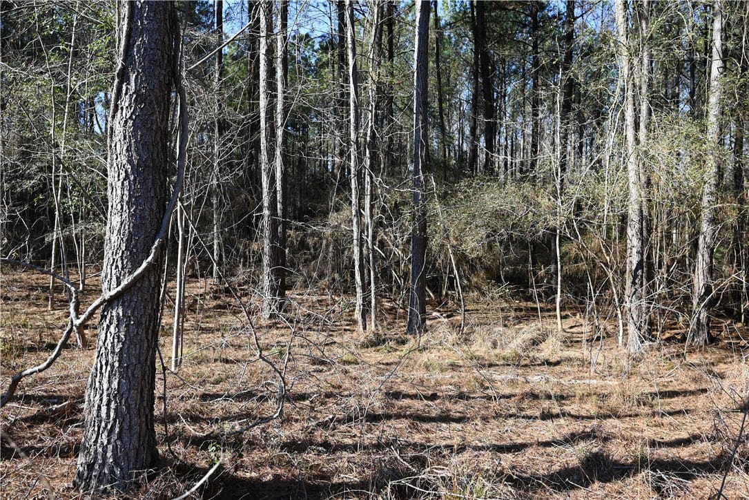 3735 RIDGELINE, Auburn, AL, 36830 — Photo 3