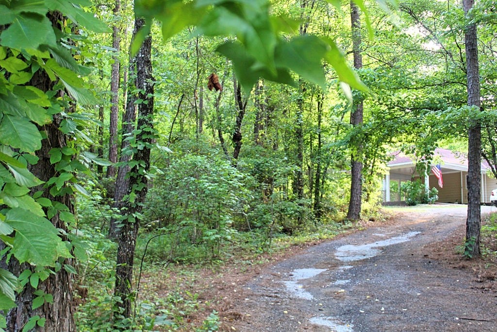 381 Ginn Lake Road, Ellerslie, GA, 31807 — Photo 2