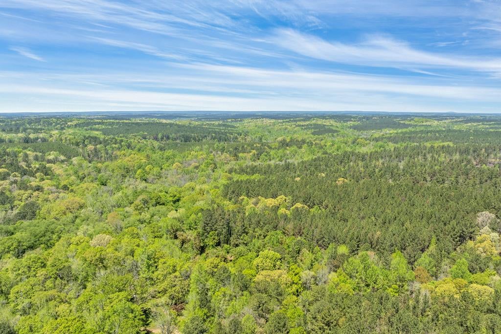 0 Liberty Hill Rd, LaGrange, GA 30240, Main View