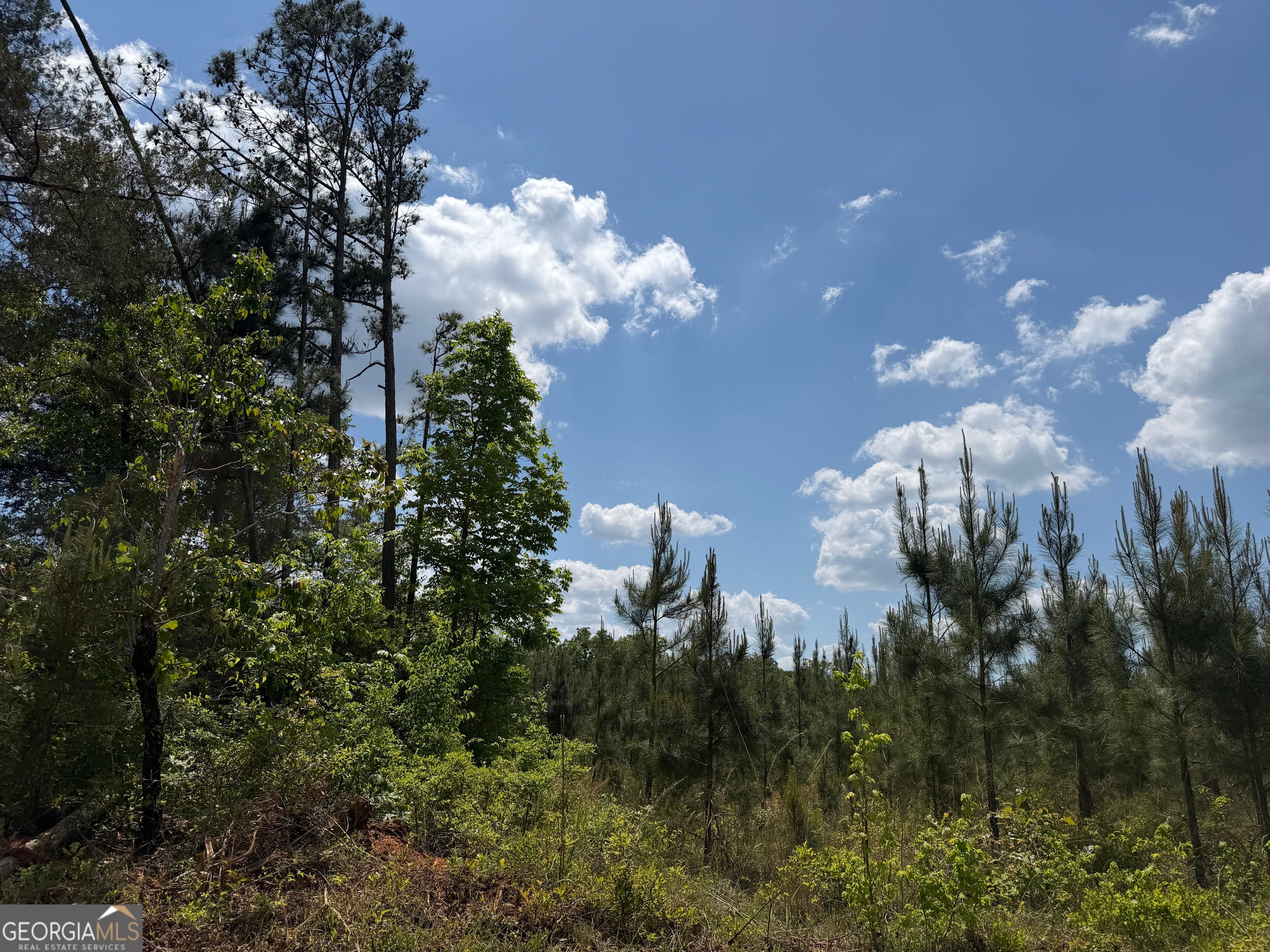 1 George Milling Rd, Cuthbert, GA 39840