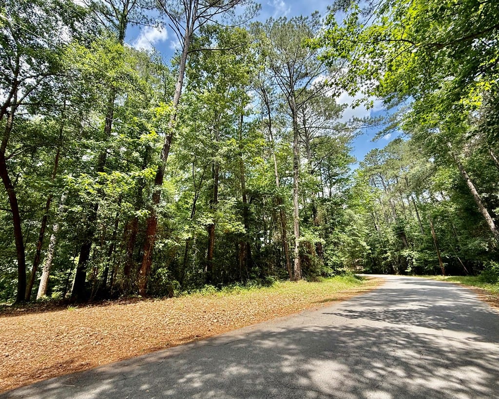 34 Sandy Springs Cir, Hawkinsville, GA 31036