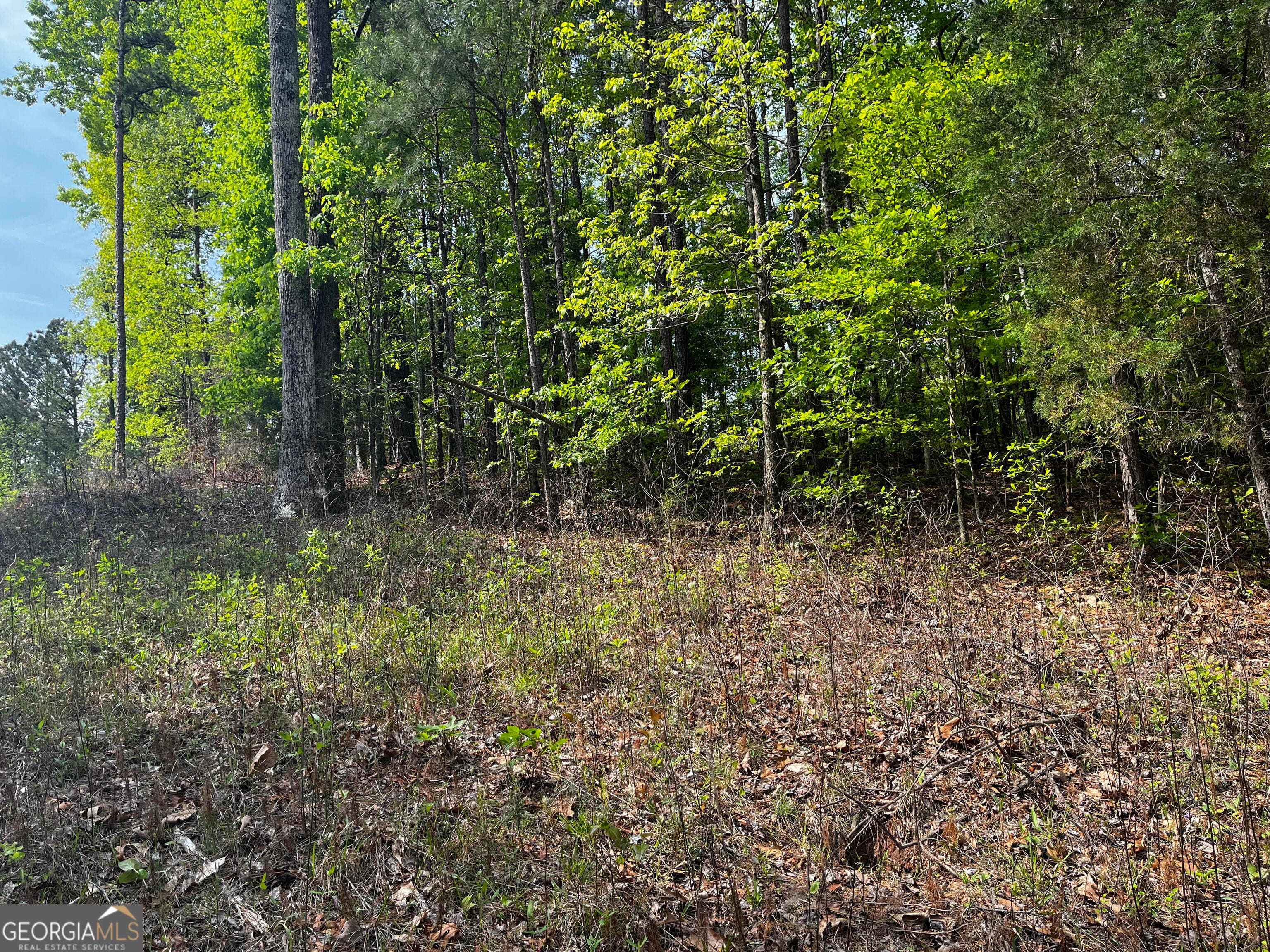 0 Waterview Drive #lot 34, LaGrange, GA, 30240