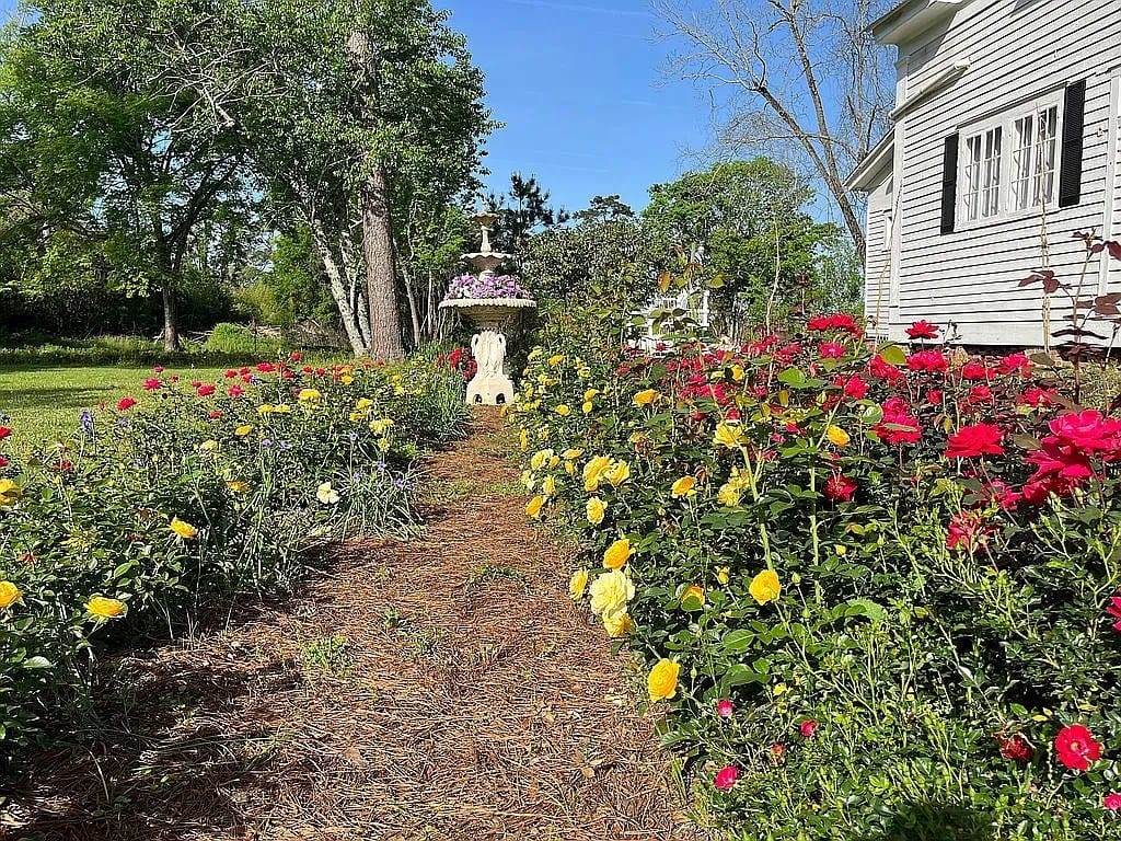 233 Dogwood Avenue Northwest, Arlington, GA, 39813 — Photo 2