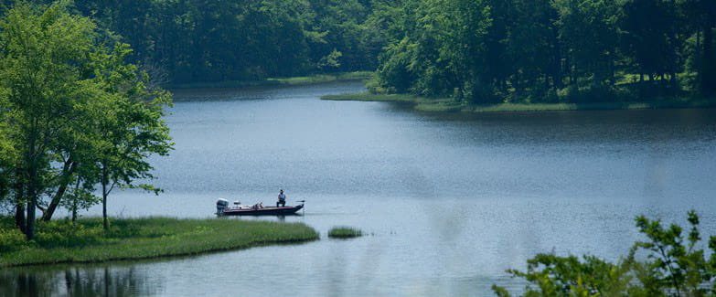 3326 Turkey Hill Cir, Opelika, AL 36801, USA — Photo 3