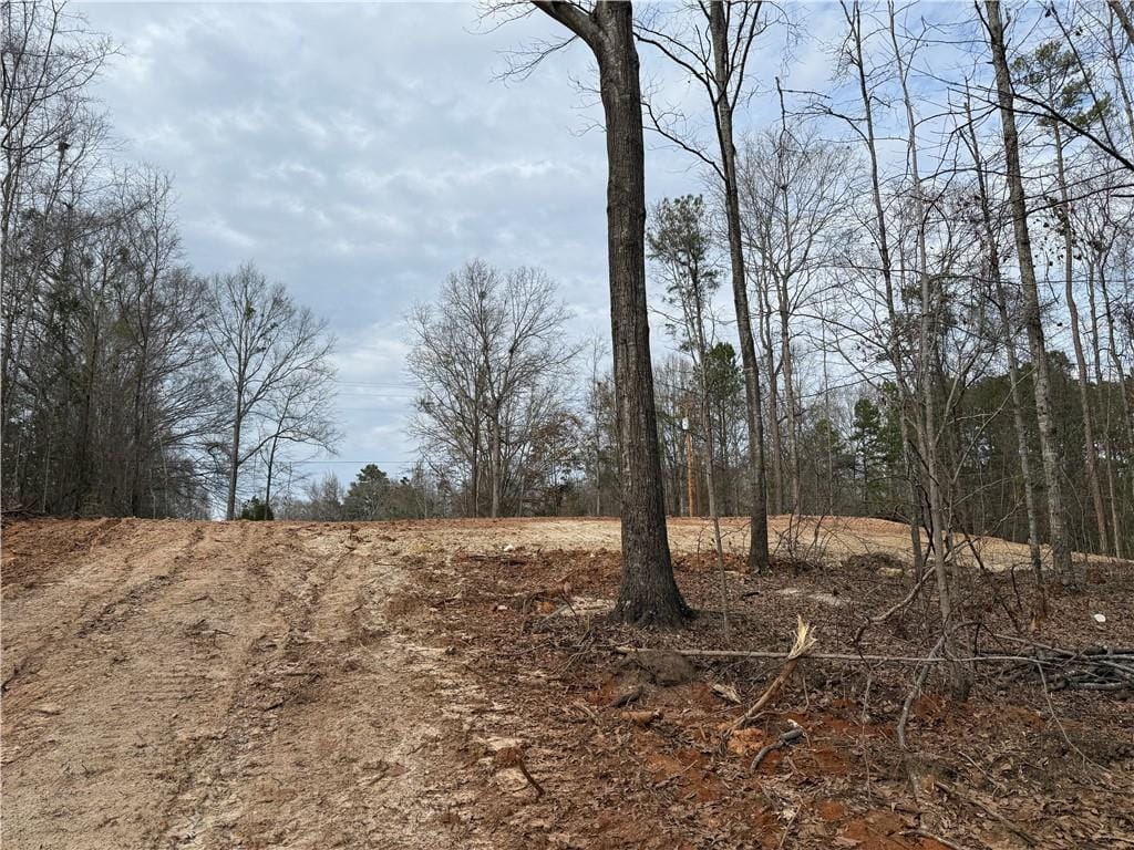 18 Three Lakes, Phenix City, AL, 36869 — Photo 3