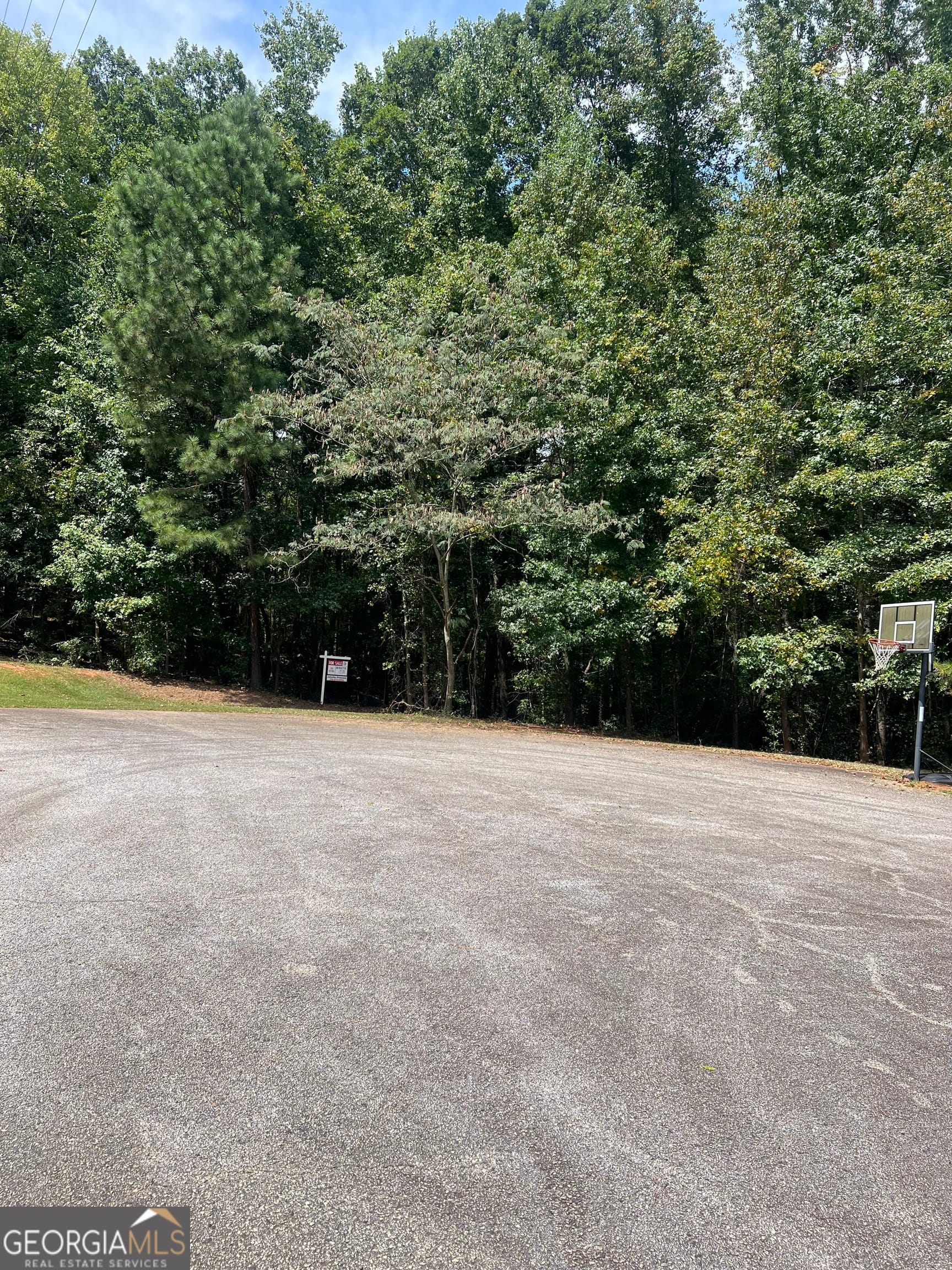 0 Barouche, Thomaston, GA, 30286