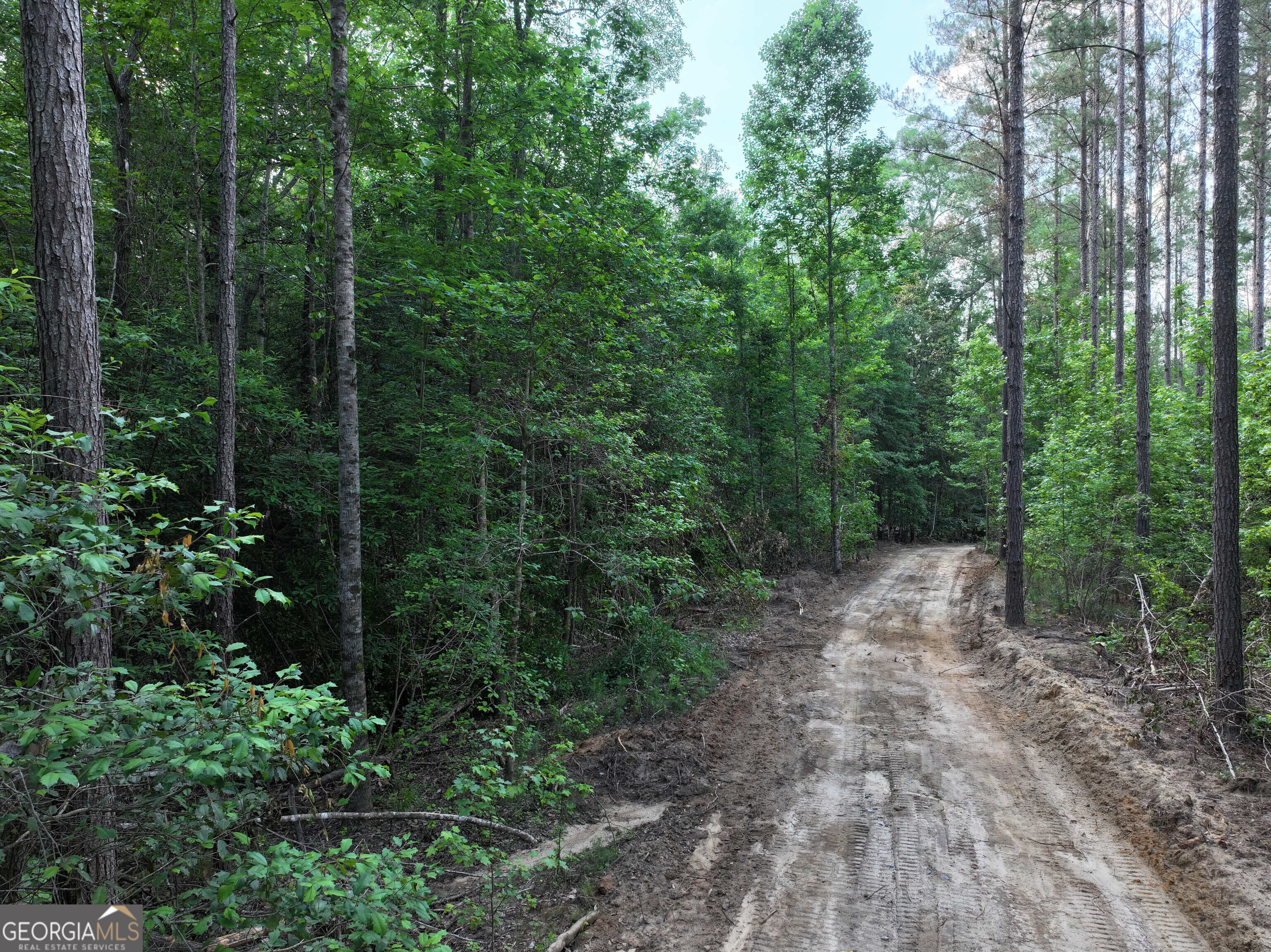 195 County Line, Lumpkin, GA, 31815