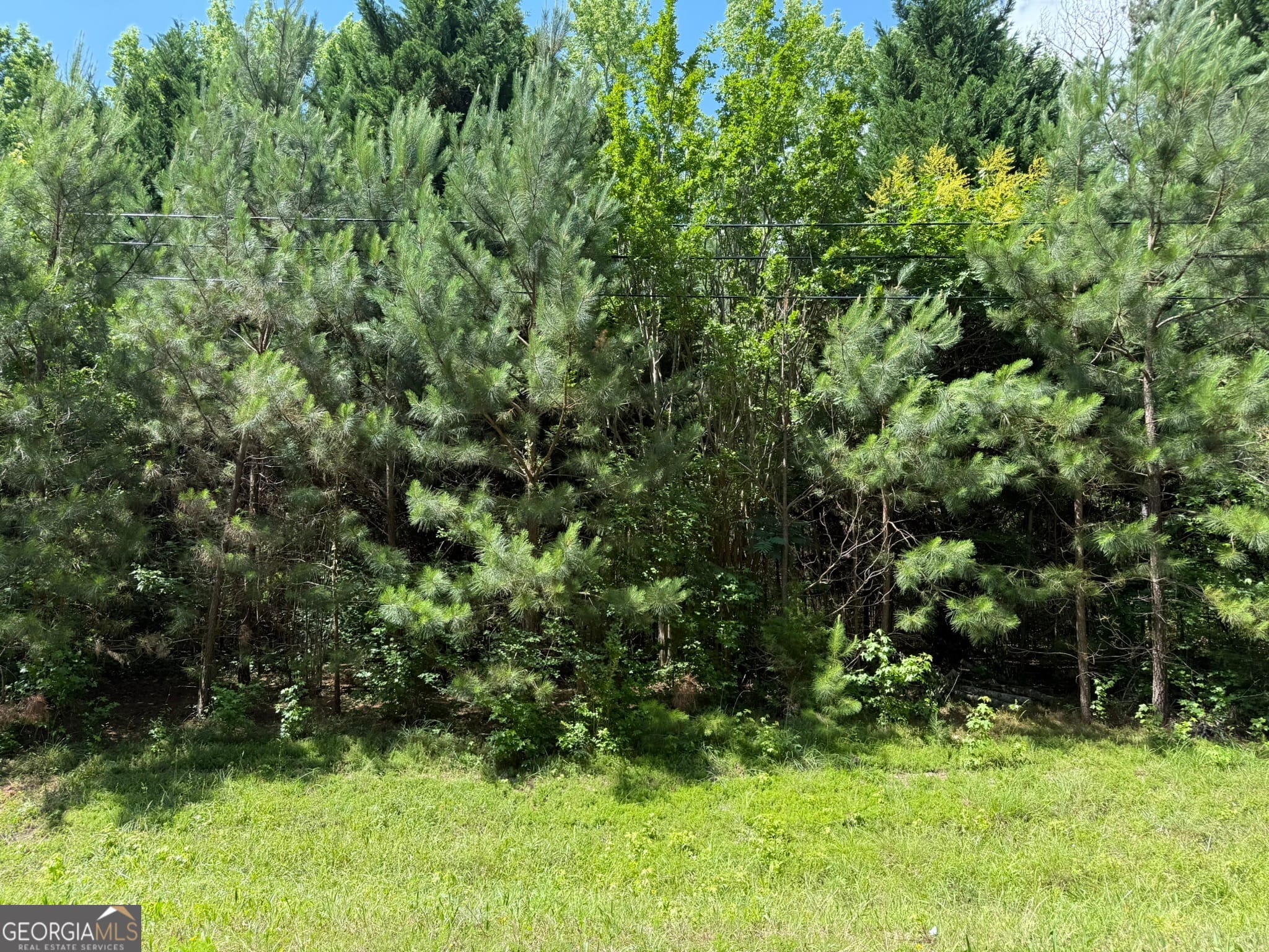 1425 River, Warm Springs, GA, 31830