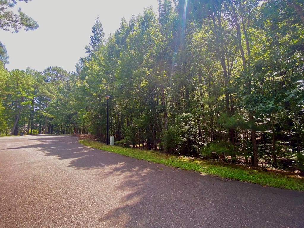 Lot 28 Buckeye Loop North, Midland, GA, 31820 — Photo 2
