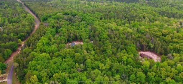 891 Connors Mill Road, Ellaville, GA, 31806 — Photo 2