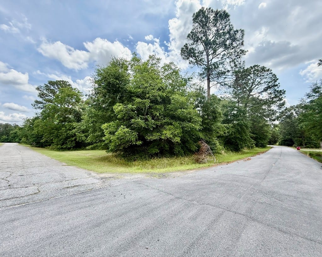 47 Craftway Dr, Hawkinsville, GA 31036